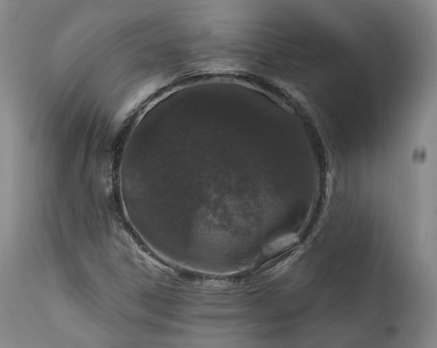 X0000112021306200908031347