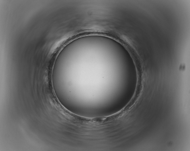 X0000112021307200908031347