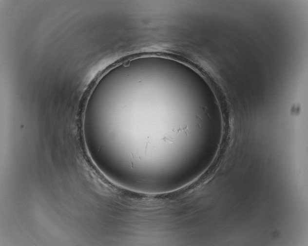 X0000112021308200908031347