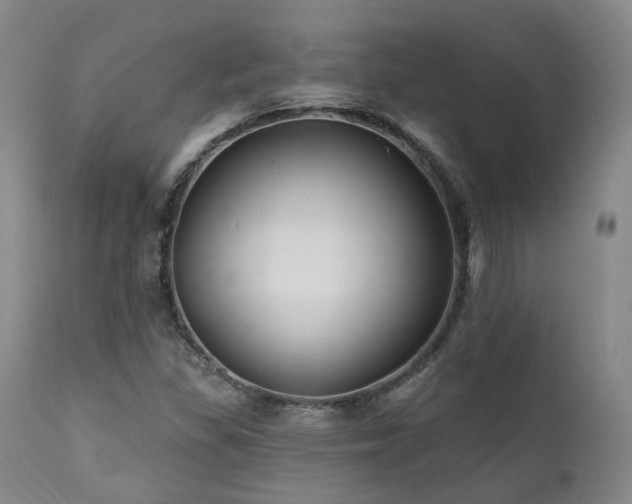 X0000112021309200908031347