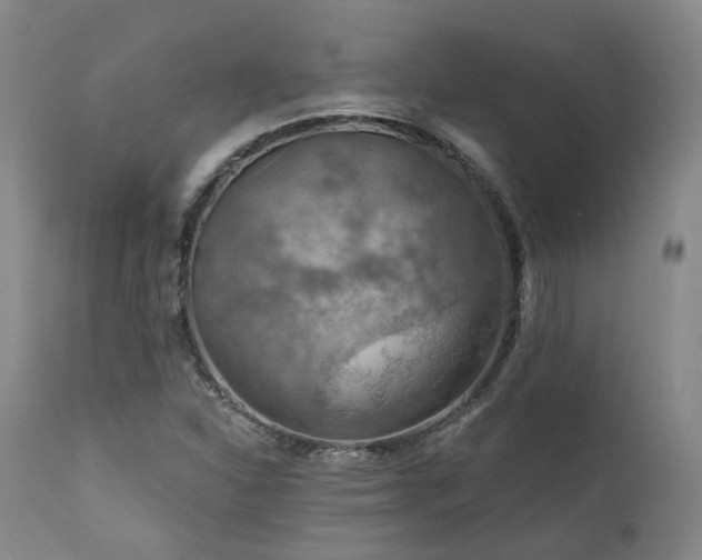 X0000112021310200908031347