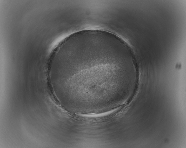 X0000112021311200908031347