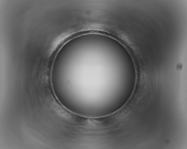 X0000112021312200908031347