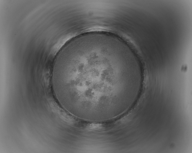 X0000112021313200908031347