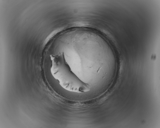 X0000112021314200908031347