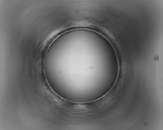 X0000112021315200908031347