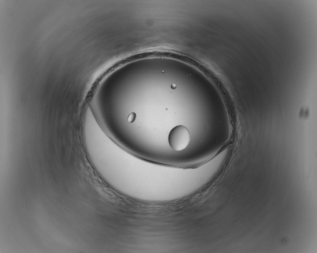 X0000112021316200908031347