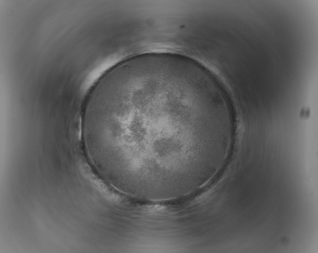 X0000112021317200908031348