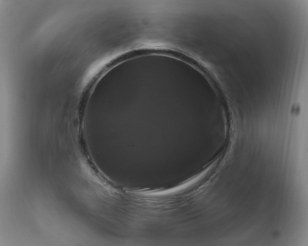 X0000112021319200908031348