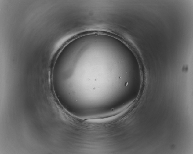 X0000112021320200908031348