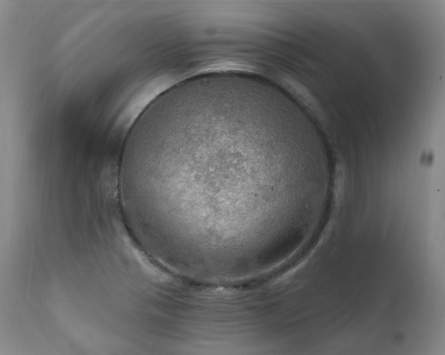 X0000112021321200908031348