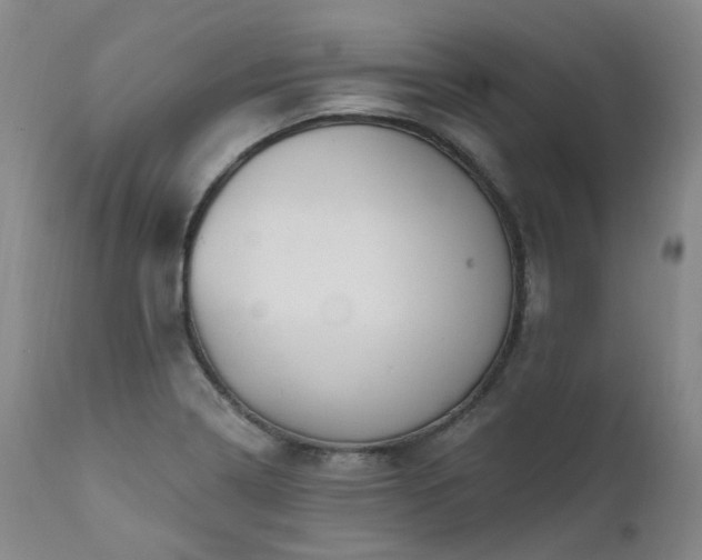 X0000112021322200908031348