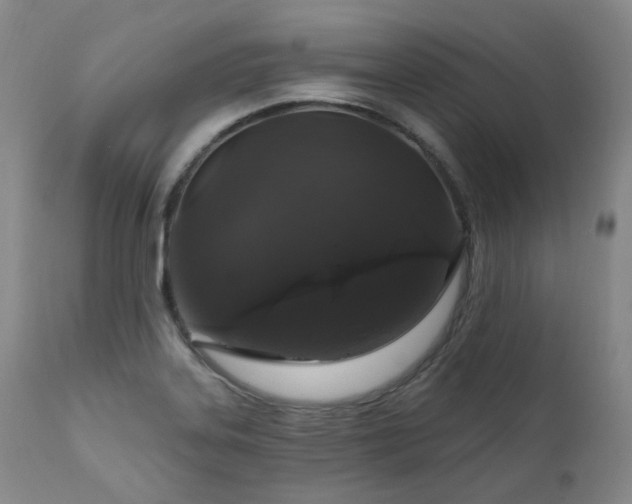 X0000112021323200908031348