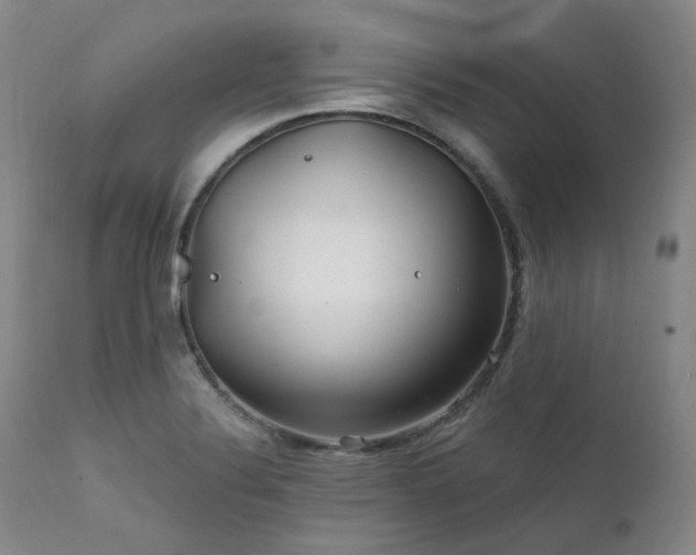 X0000112021324200908031348