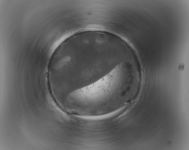 X0000112021325200908031348