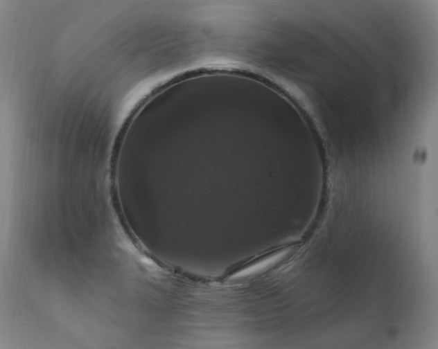 X0000112021327200908031348