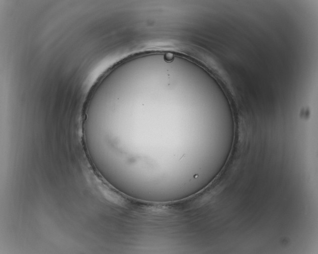 X0000112021328200908031348