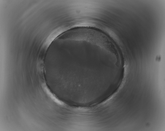 X0000112021329200908031348