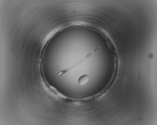 X0000112021330200908031348