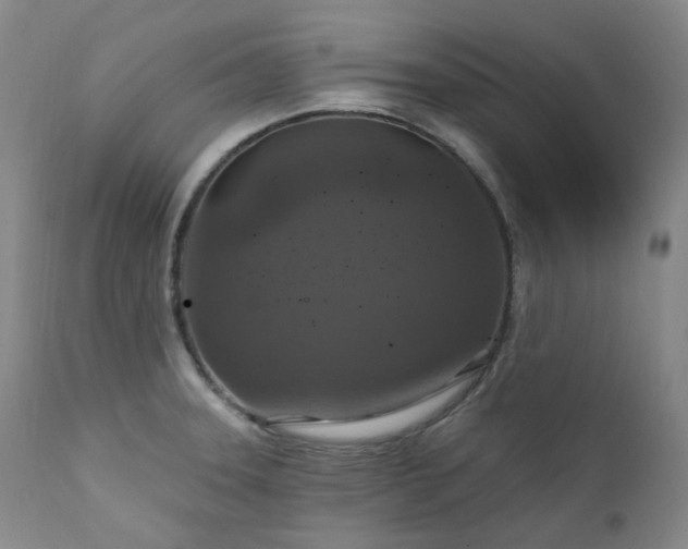 X0000112021331200908031348