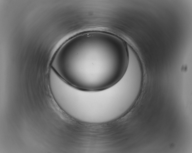 X0000112021332200908031348