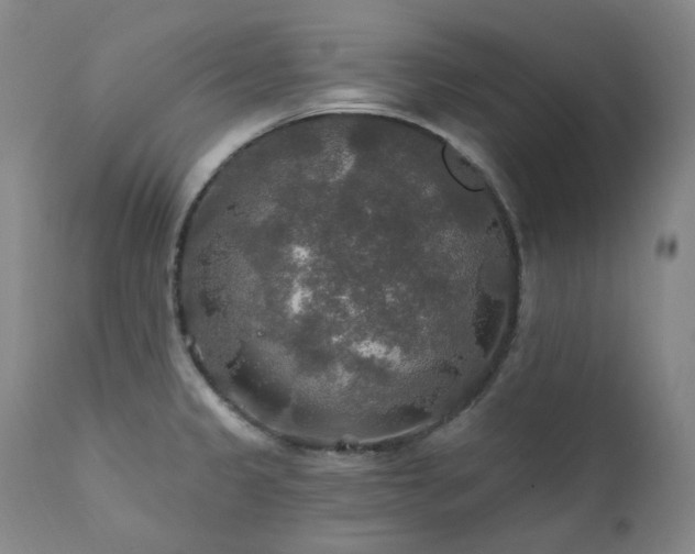 X0000112021333200908031348