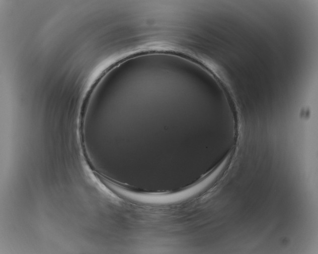 X0000112021334200908031348