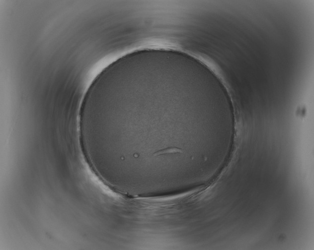 X0000112021335200908031348