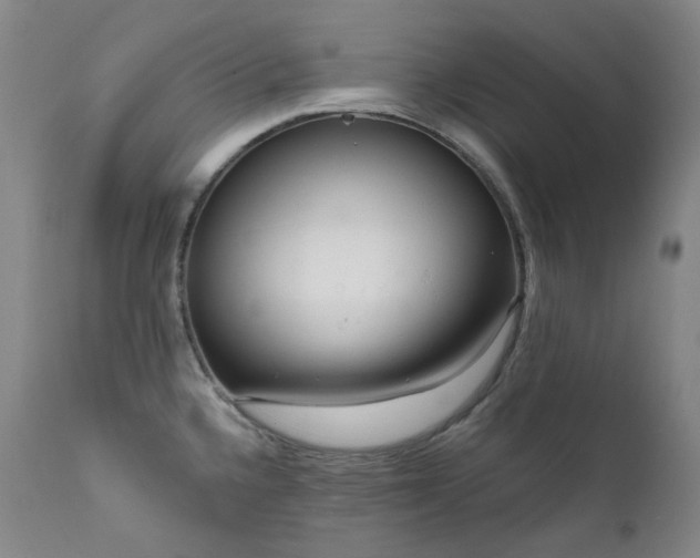 X0000112021336200908031348