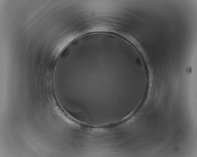 X0000112021337200908031348