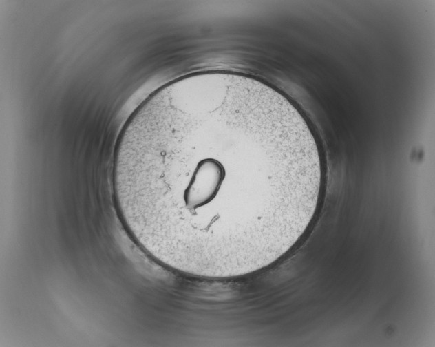 X0000112021338200908031348