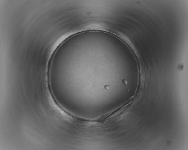 X0000112021339200908031348