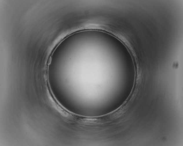 X0000112021342200908031348