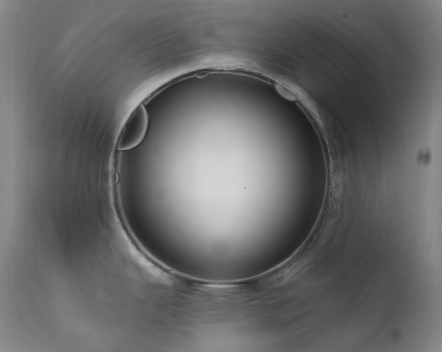 X0000112021343200908031348