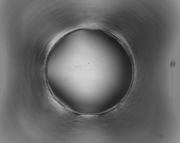 X0000112021344200908031348