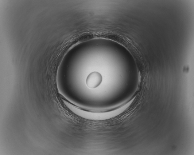 X0000112021345200908031347