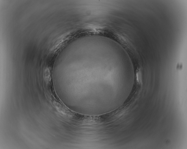 X0000112021347200908031347