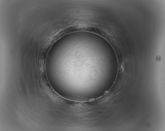 X0000112021348200908031347