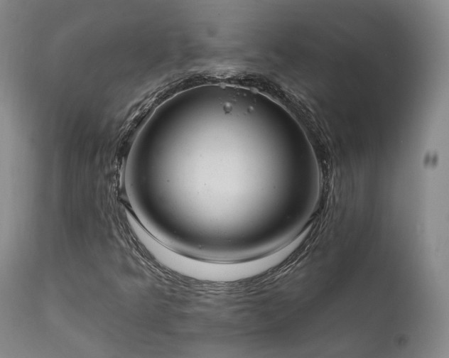 X0000112021349200908031347