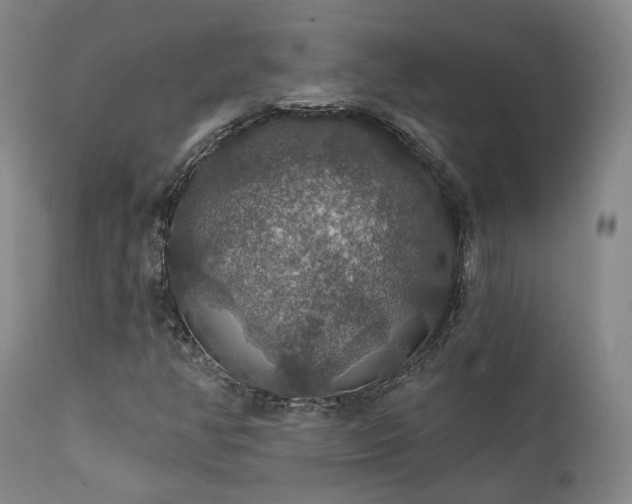 X0000112021350200908031347