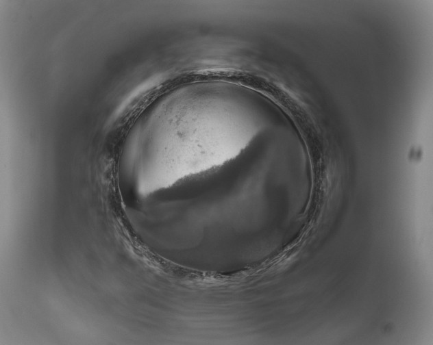 X0000112021351200908031347