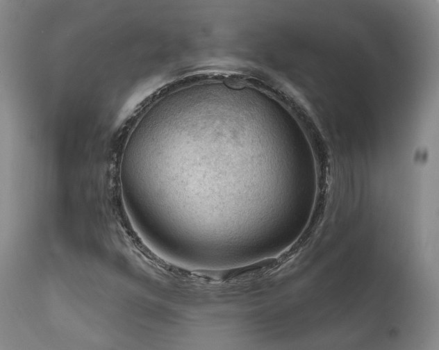 X0000112021352200908031347