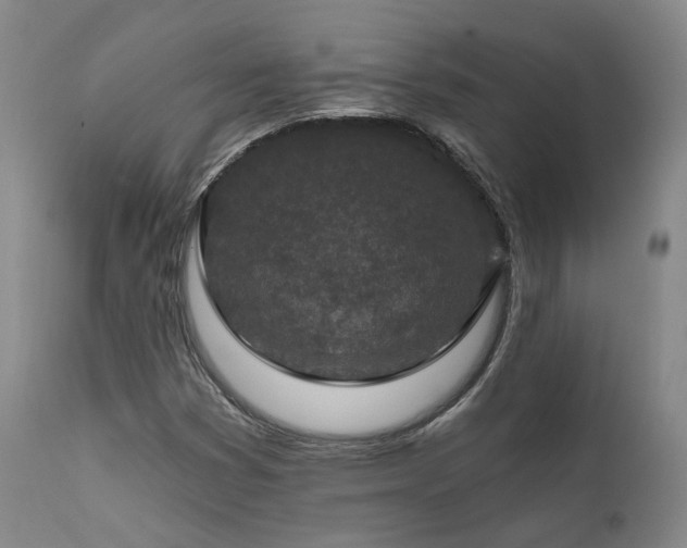 X0000112021353200908031347