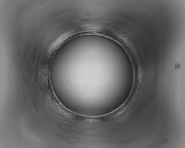 X0000112021354200908031347