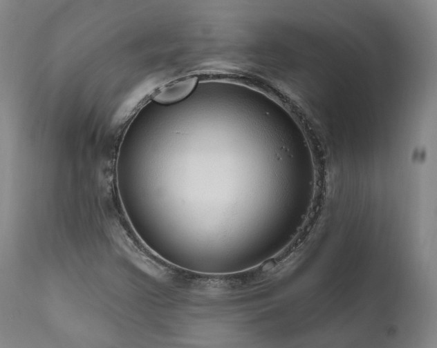 X0000112021355200908031347