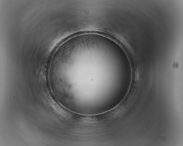 X0000112021356200908031347