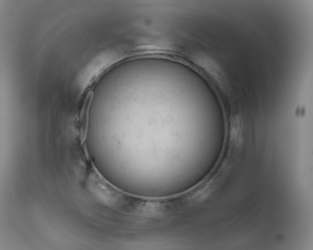 X0000112021357200908031347