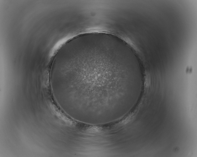 X0000112021358200908031347