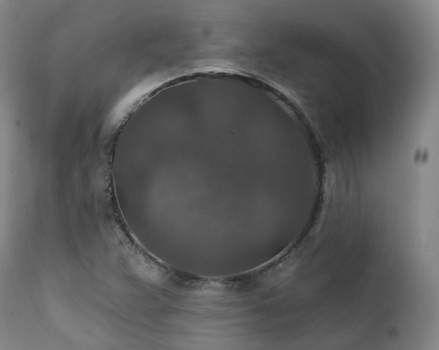 X0000112021359200908031347