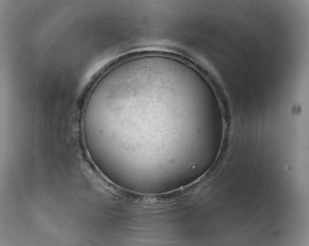 X0000112021360200908031347